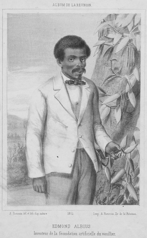 1863 lithograph portrait of Edmond Albius beside a vanilla plant